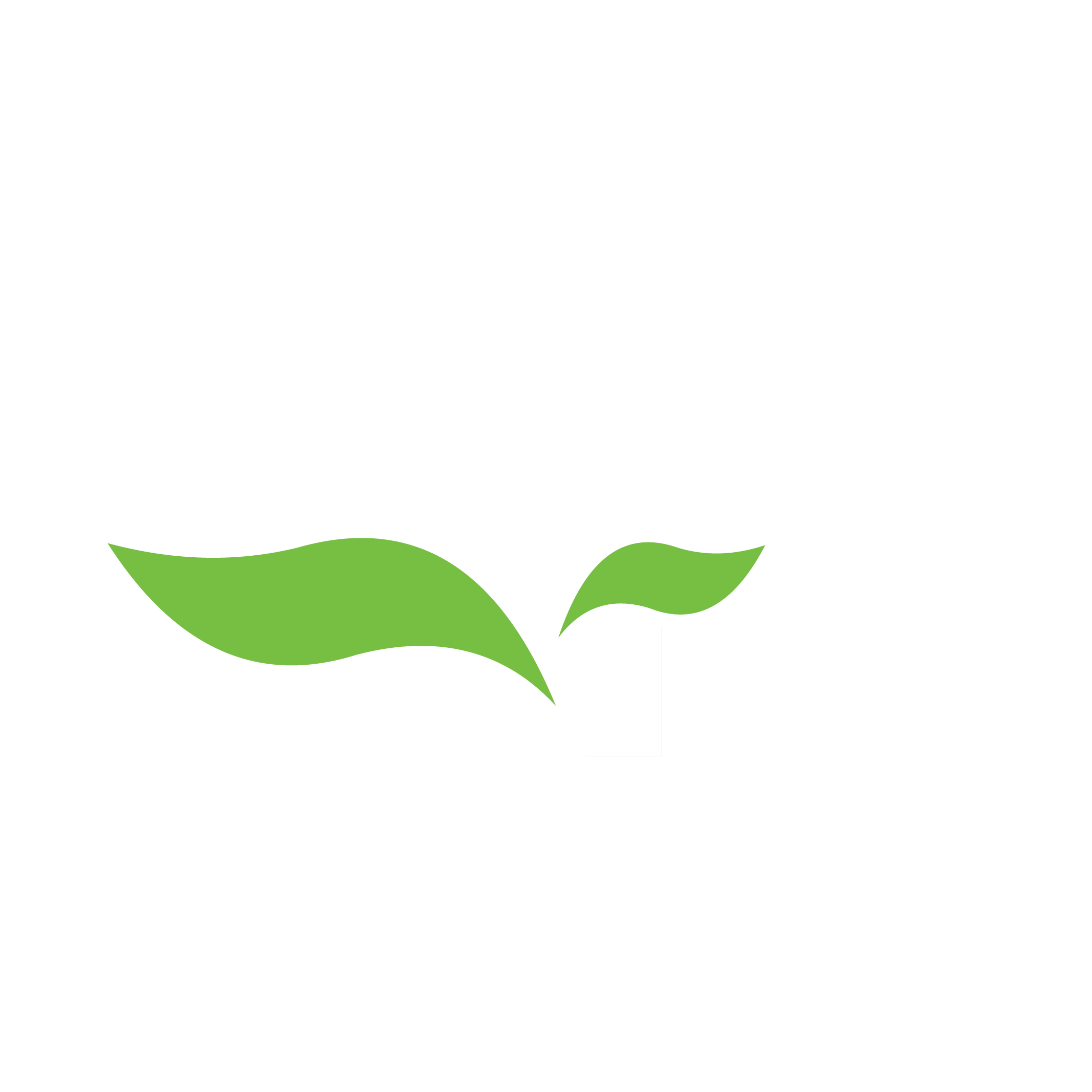 Jazlyne Landscaping